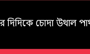 Bengali Audio Story Indian desi